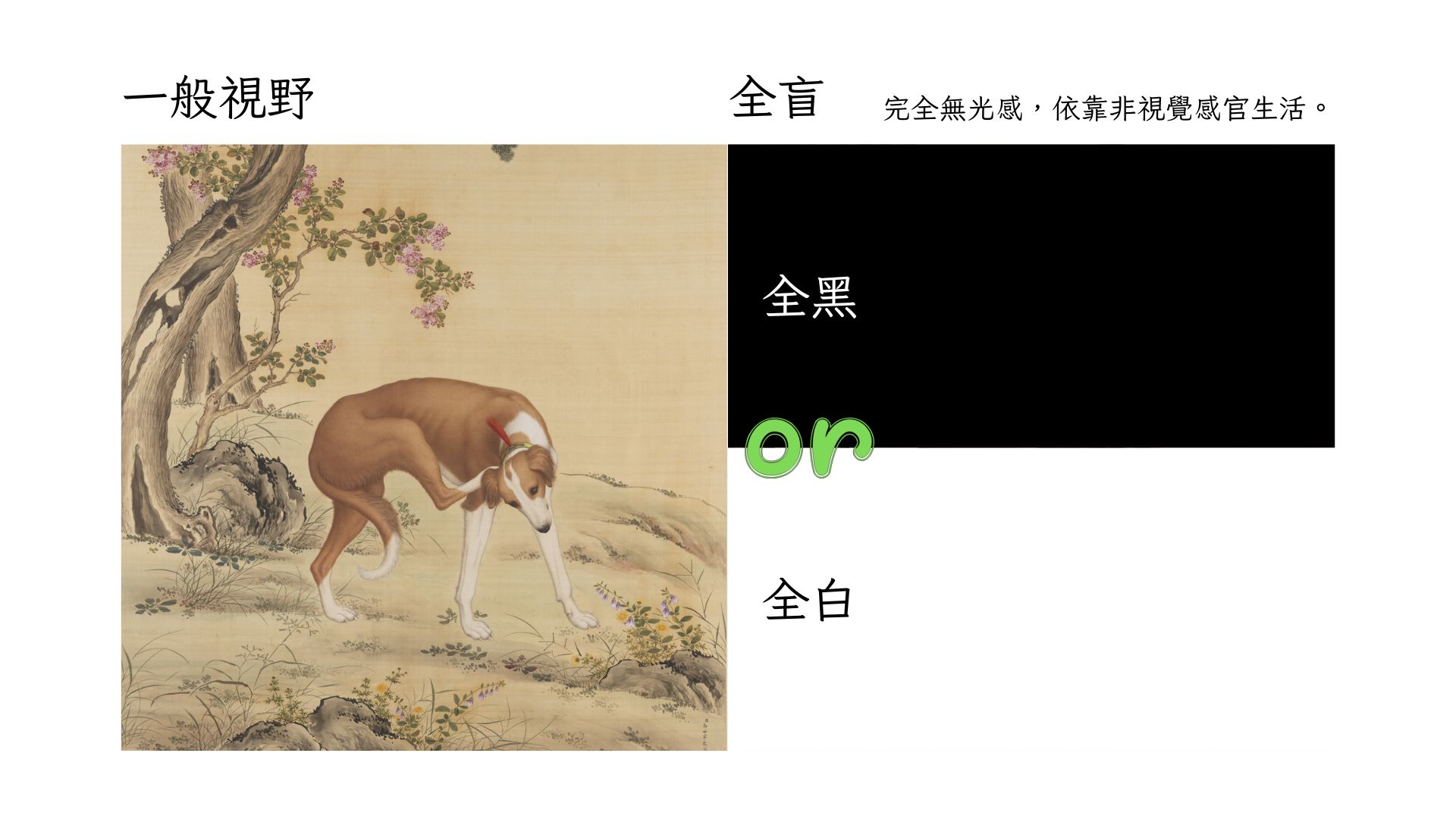 全盲全黑或全白完全無光感依靠非視覺感官生活