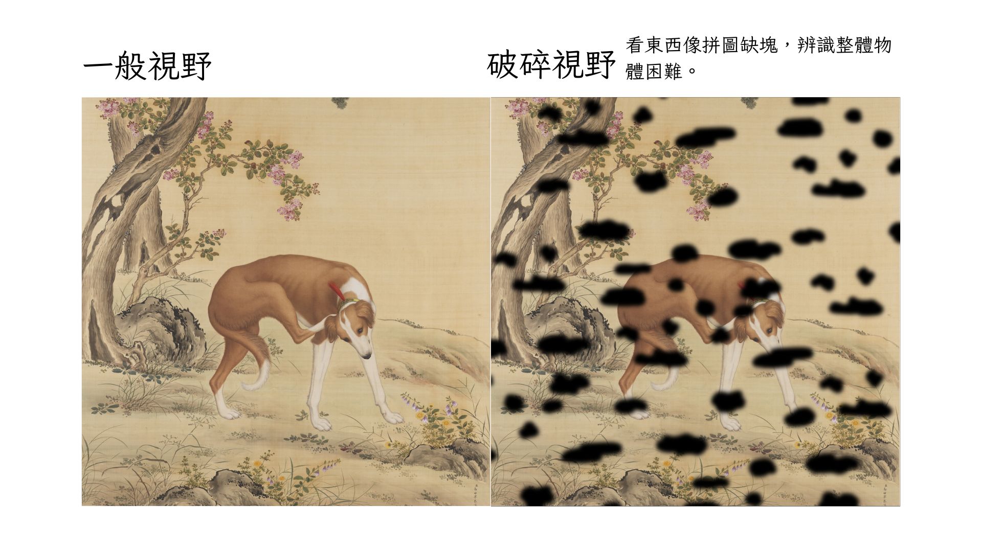 破瑣視野視野不連續有缺角或空白看東西像拼圖缺塊辨識整體物體困難